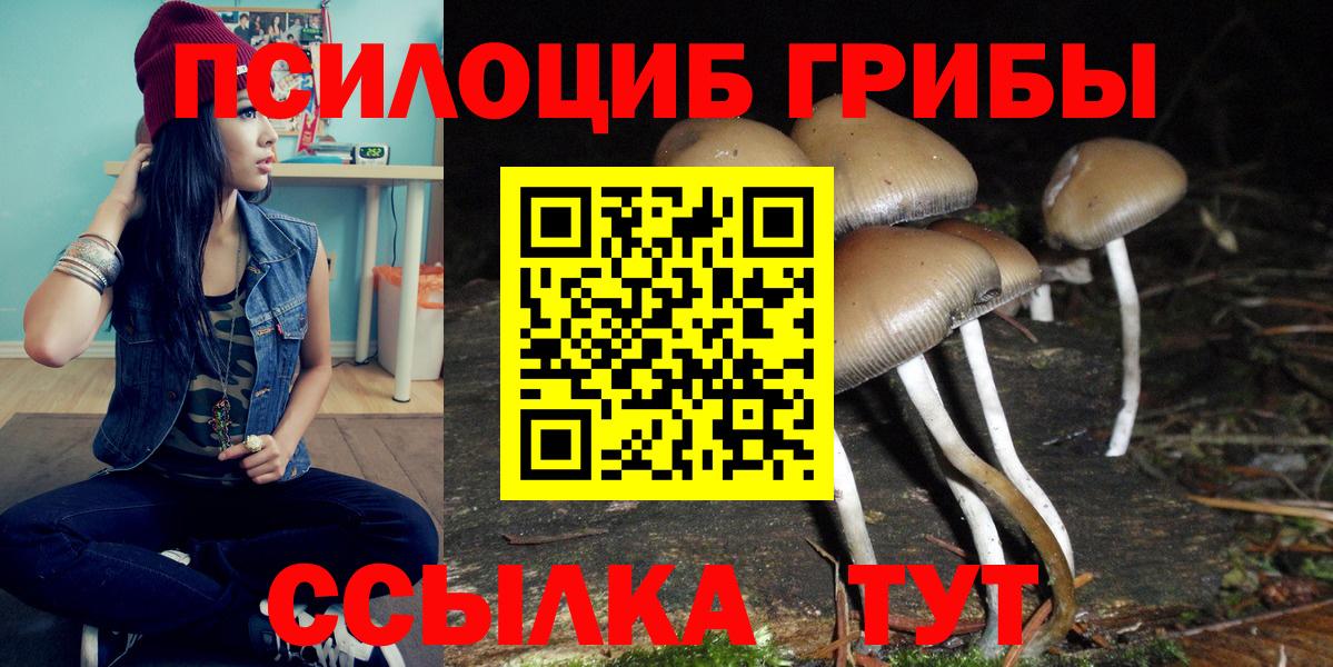 Псилоцибиновые грибы ЛСД  Галлюциногенные грибы Magic Shrooms  Вход с VPN  Чапаевск 