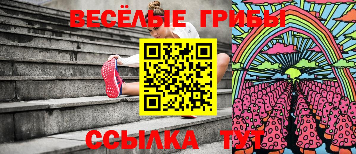 Галлюциногенные грибы MAGIC MUSHROOMS Чапаевск